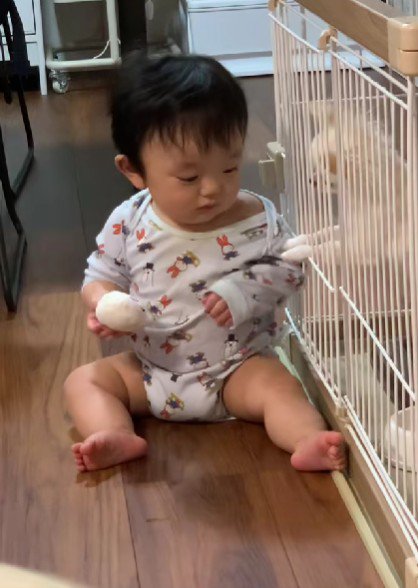 おもちゃが欲しい…