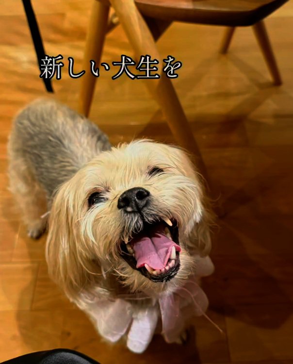 笑顔のまるるちゃん