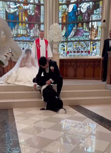 首を少し下げてあげる犬