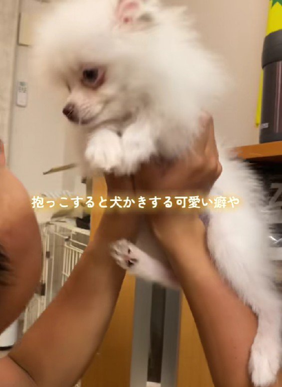 前足をスイスイ動かす癖