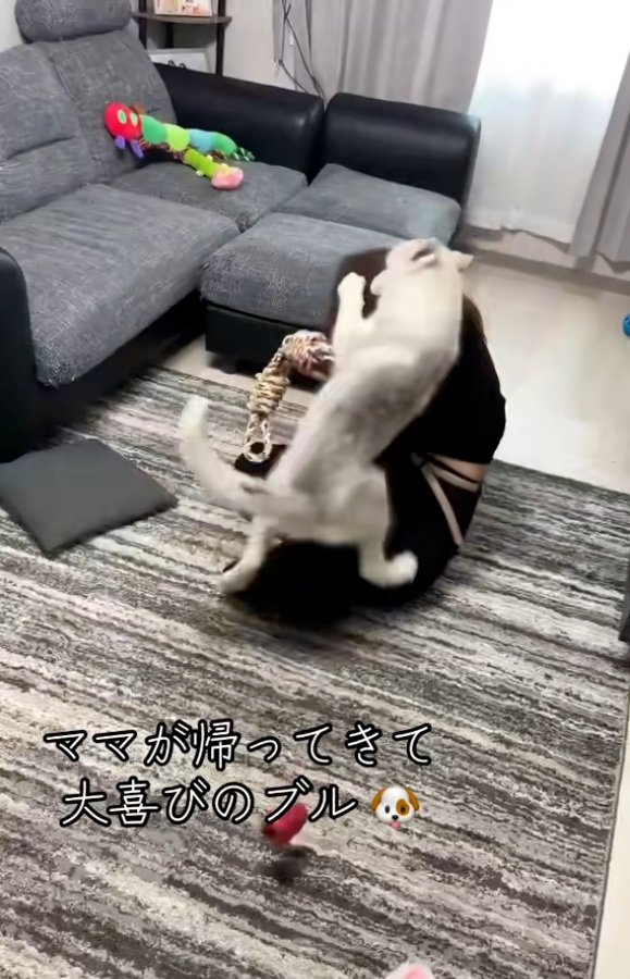 また倒されるママ