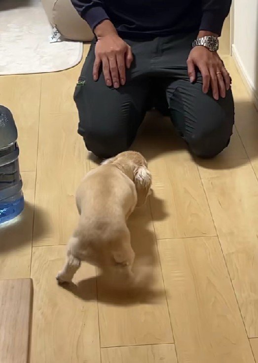 パパへの愛を隠せない