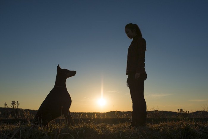 向き合う犬と人のシルエット