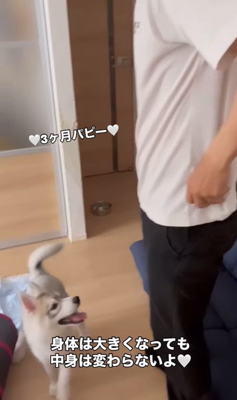 イヴちゃんとお兄ちゃん