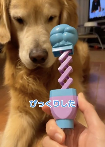 「なんじゃこりゃ」