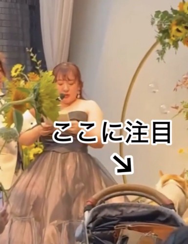 手紙を読む花嫁と後ろを向く犬