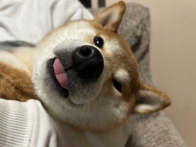 いそべ君の日常3