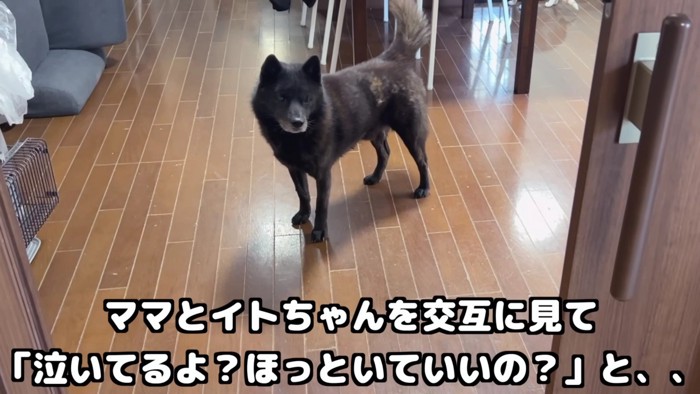 「泣いてるけど大丈夫…?」
