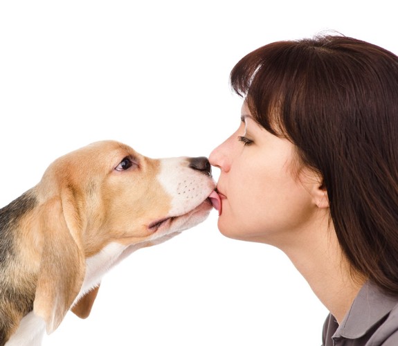 飼い主さんの口をなめる犬