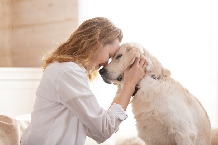 向かい合い顔を寄せ合う犬と女性