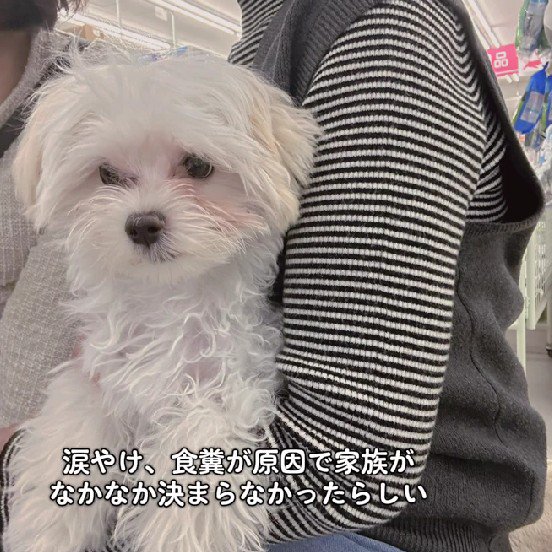 いくつかの問題があった