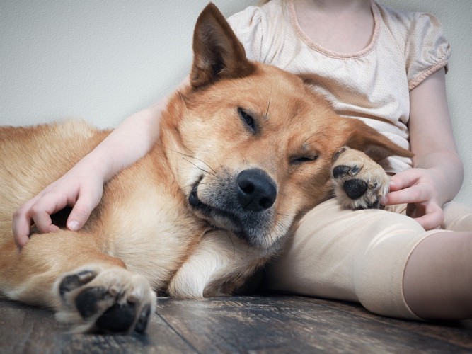 女性にもたれかかって寝る犬