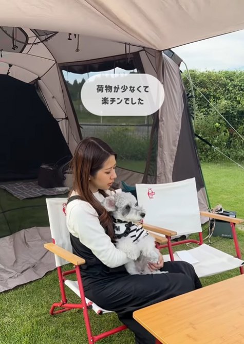 旅行先での小型犬