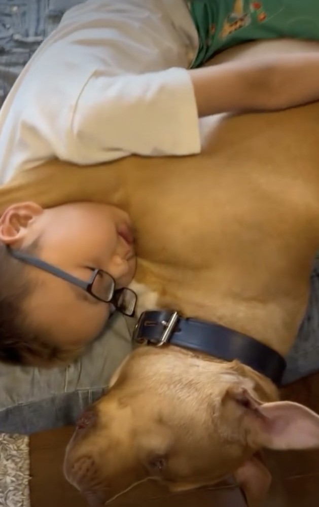 本当の兄弟みたい