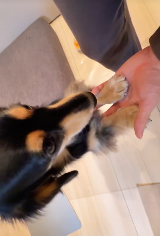 紬ちゃんのおねだり5