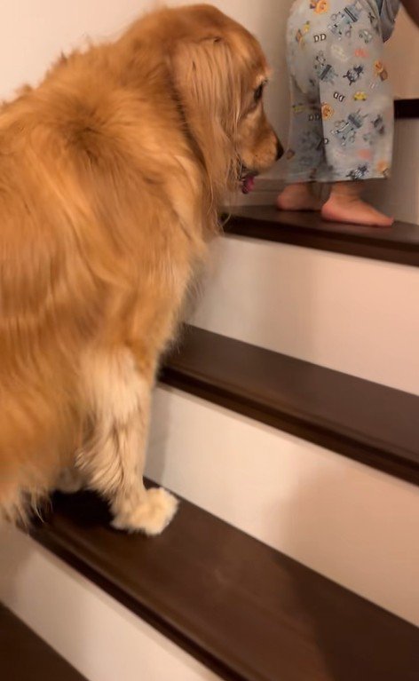 階段を登る男の子とラビーくん