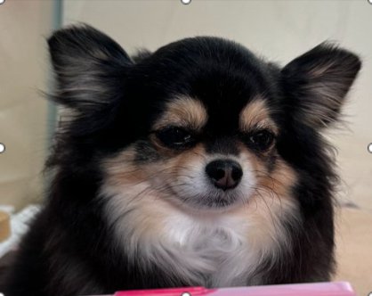 遠くを見つめて