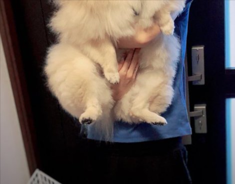 抱っこ