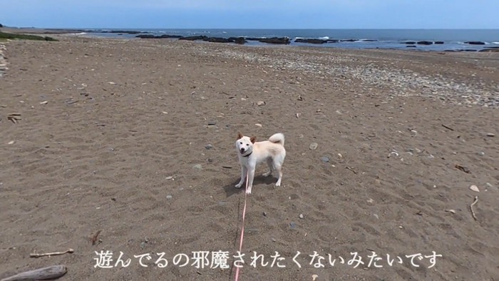 「今遊んでるところだから止めないでっ」