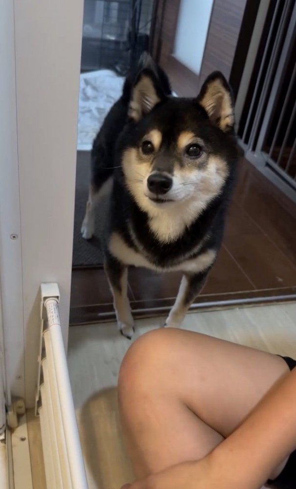 交互に…