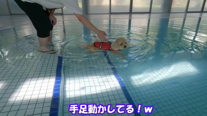 足がつかない場所に連れて行くと…