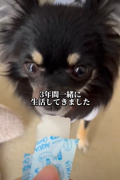 絆が育まれていく