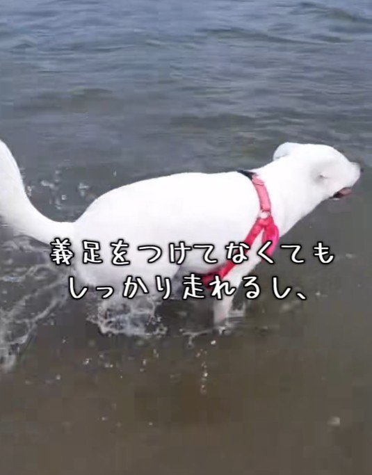 たくましく成長！！