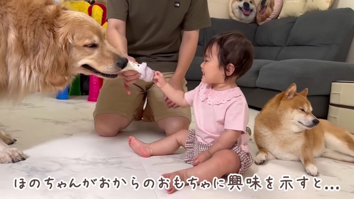 おもちゃで遊んでいたら