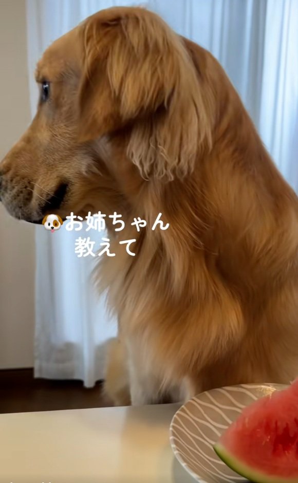 助けを求める暖くん