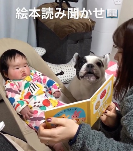 読み聞かせする犬