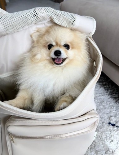 今ではこんなに笑顔