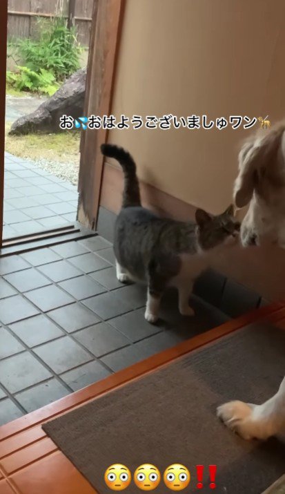 仲良しになれるかな？