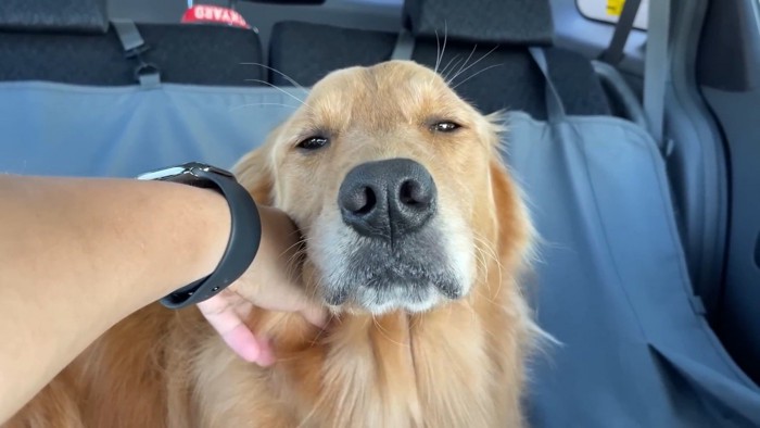 「大丈夫？」と聞いたら…