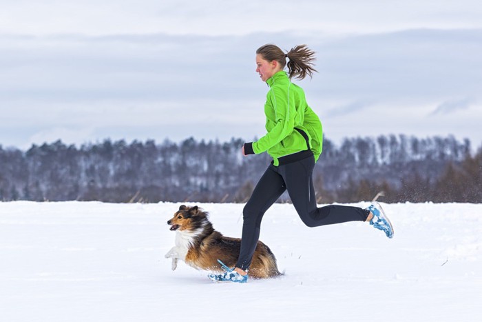 女性と雪の中を走る犬