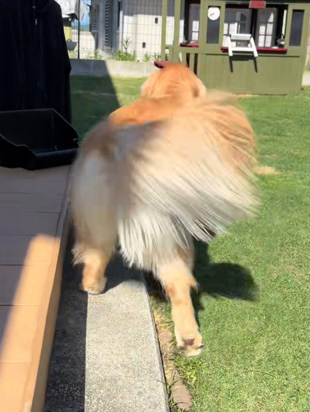 福ちゃんが咥えていたのは…