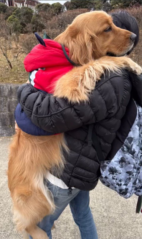 高いところに登りたがる空くん⑩