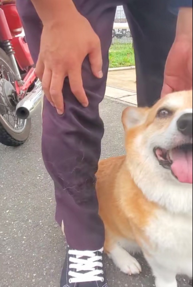 毛がたくさん