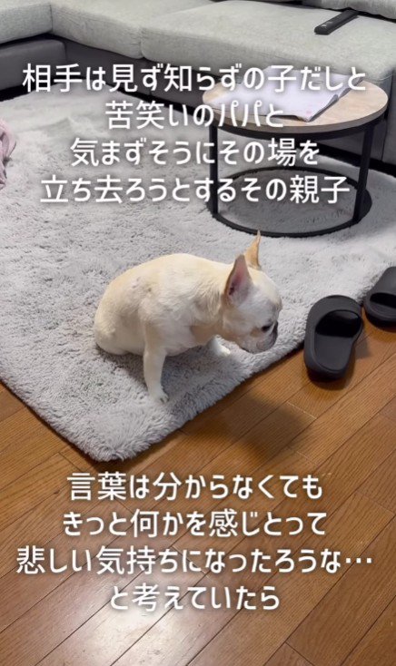 しょんぼりしてしまったアビーちゃん