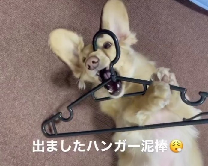 堂々たる犯行