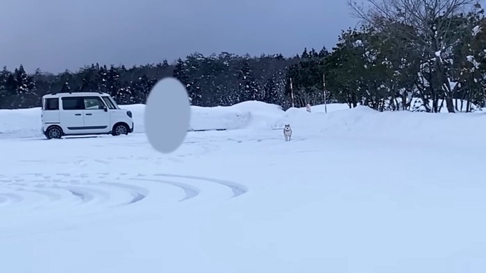 お母さんと再会