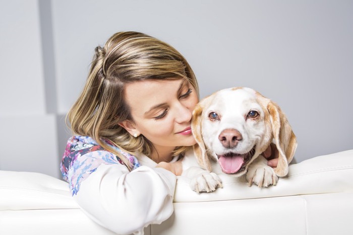 飼い主と愛犬