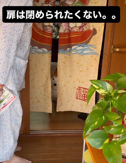 おばあちゃんがやってきて…