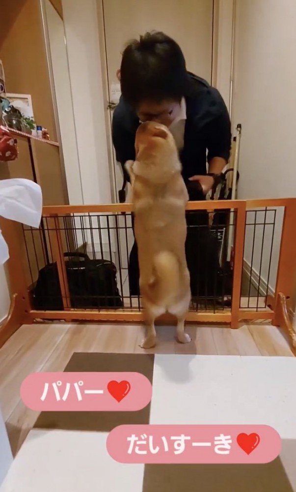 「おかえり」のチュー