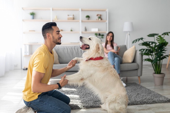 男性と遊ぶ犬