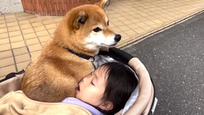 花子ちゃんに顔をうずめるモモ子ちゃん