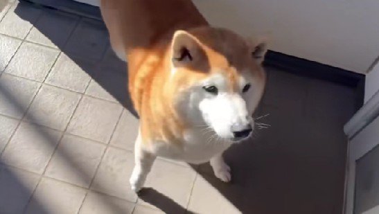 お母さんのことが大好き