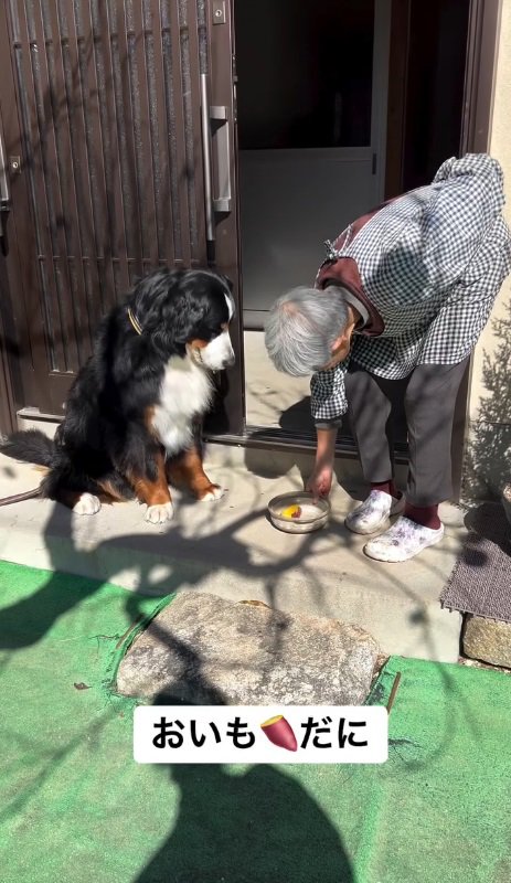 リンちゃんの目は焼き芋に釘付け…！