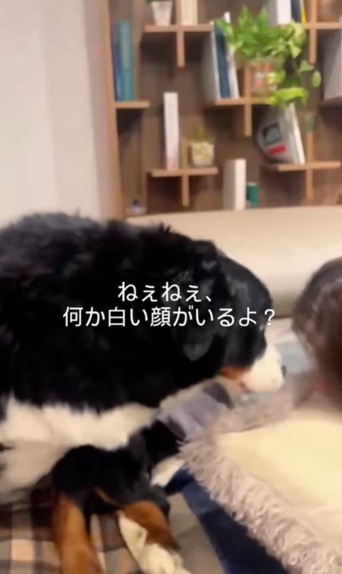 フェイスマスクをしたお姉ちゃんとハリーくん5