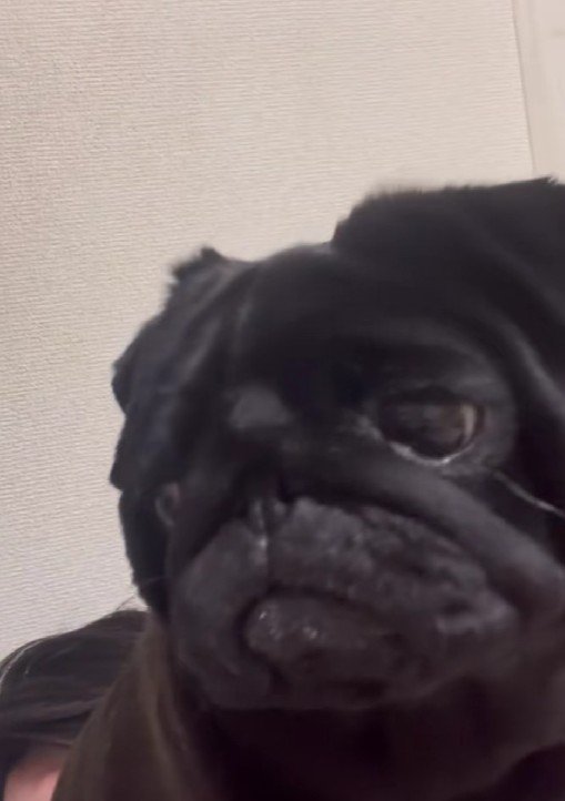 「なにか問題でも…?」