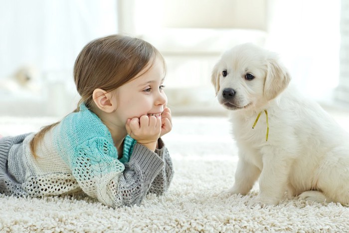 白いラグの上の少女と子犬